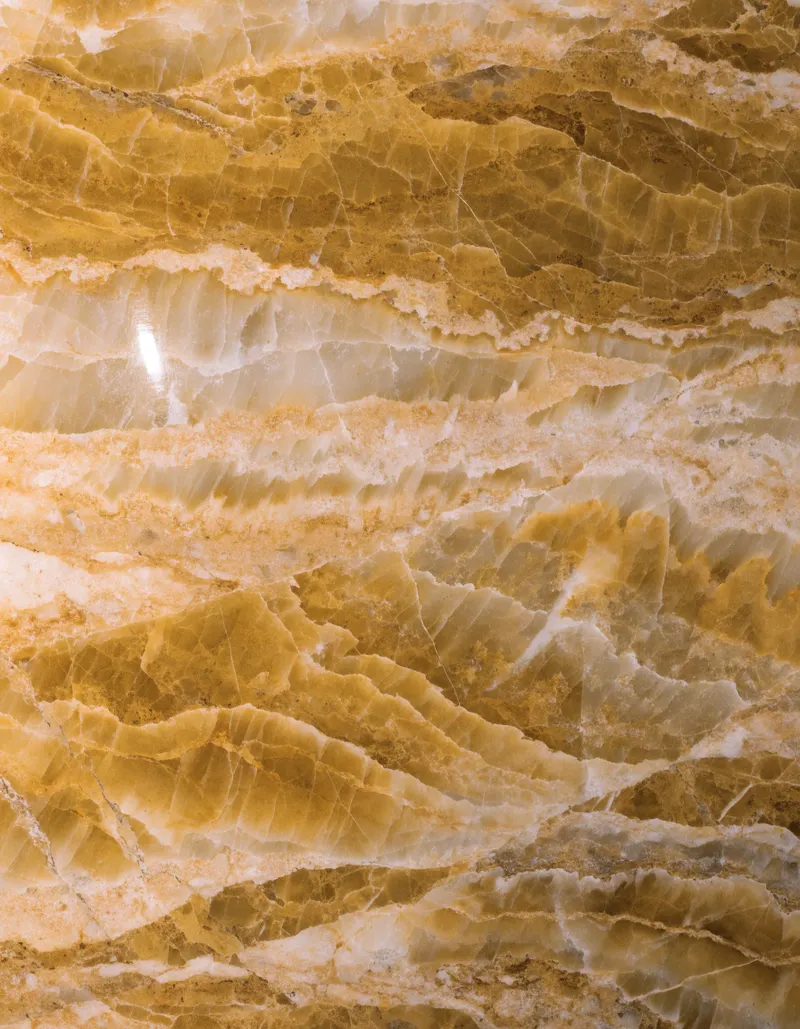 A polished slab of Giallo Jodad marble, a golden ground with warm, figured movement